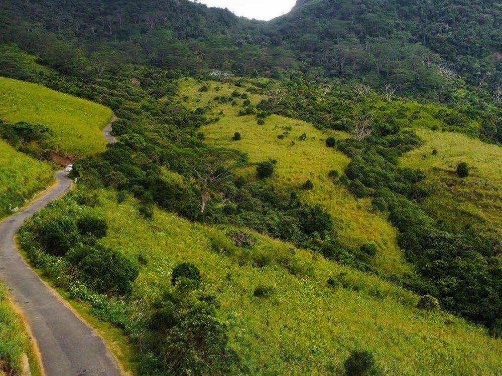 Mountain road through Sri Lanka landscape
