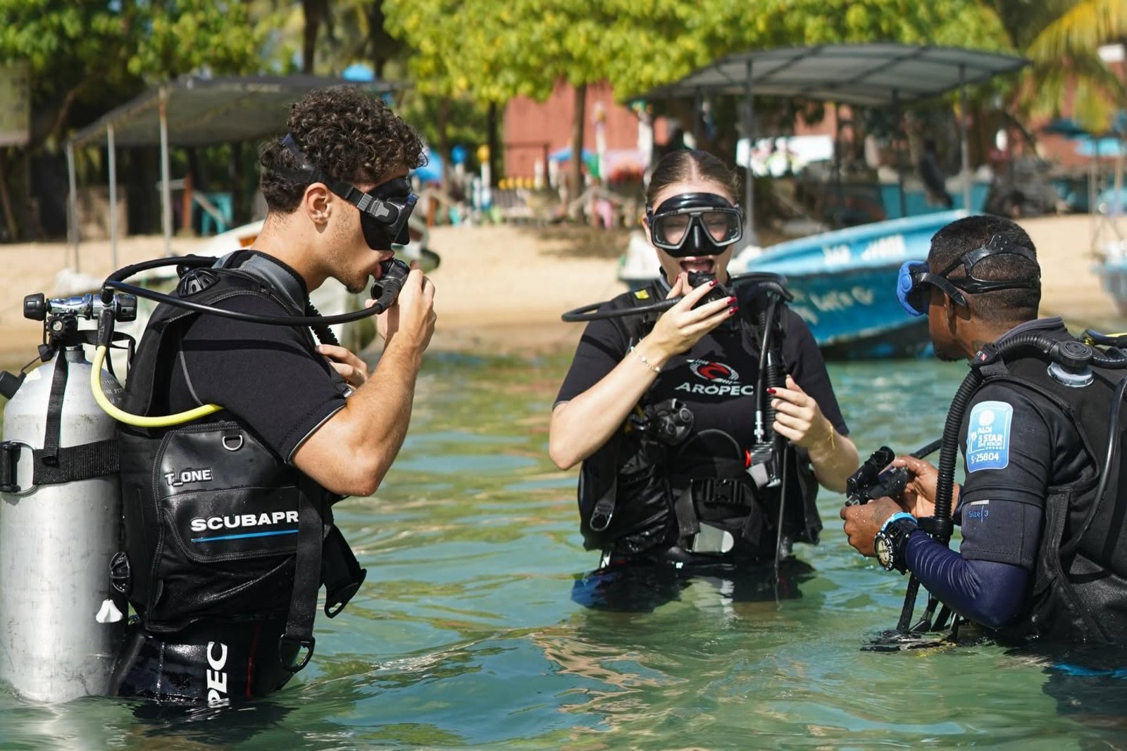 Dive Gallery 08