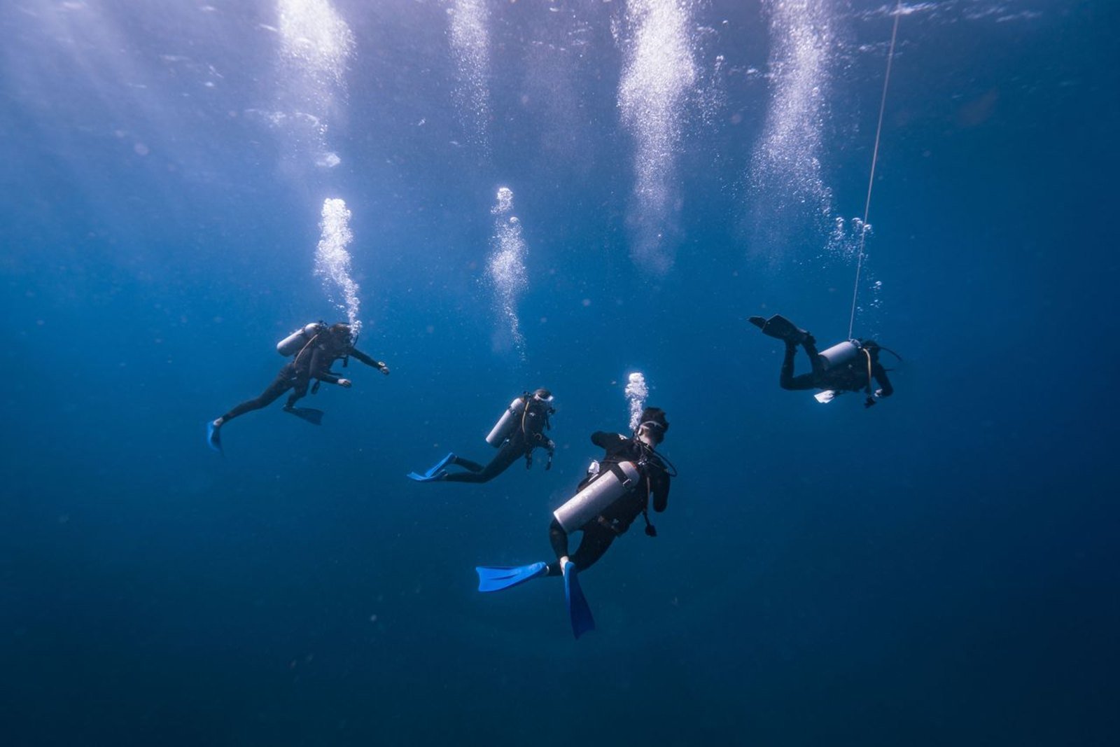 Dive Gallery 01