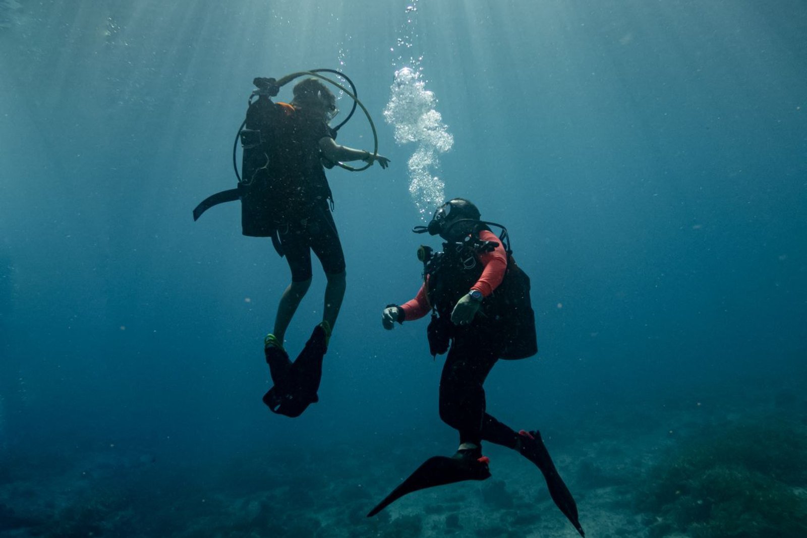Dive Gallery 03