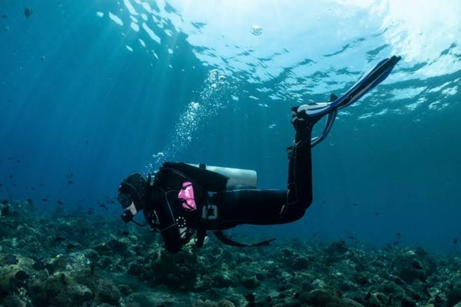 South Coast Dive Sites