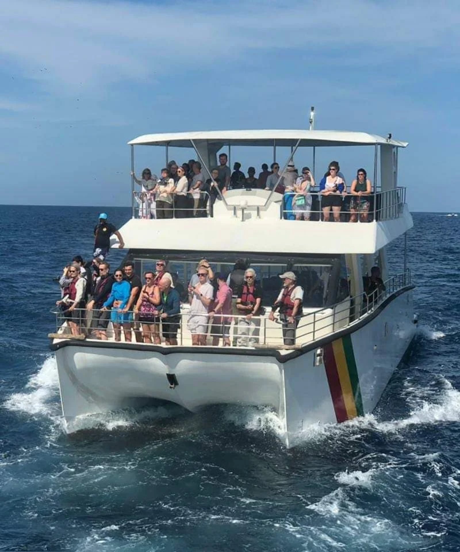 Whale watching off Sri Lanka